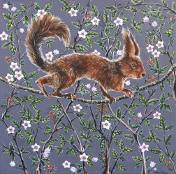 Naomi Jones: Feeling Squirrelly