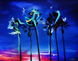 Pete Kasprzak: Venice California Blue Palms 2