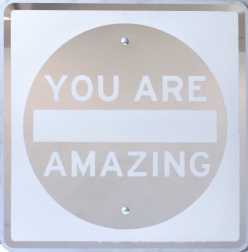 Scott Froschauer: Mirror You Are Amazing II