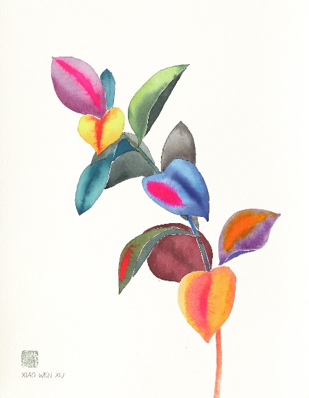 Xiao Wen Xu: Rainbowland Ruscus image 1